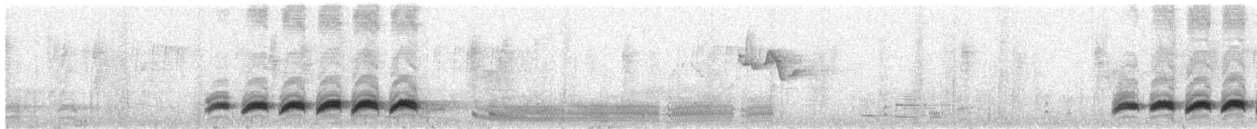 Spot-breasted Parrotbill - ML652758022