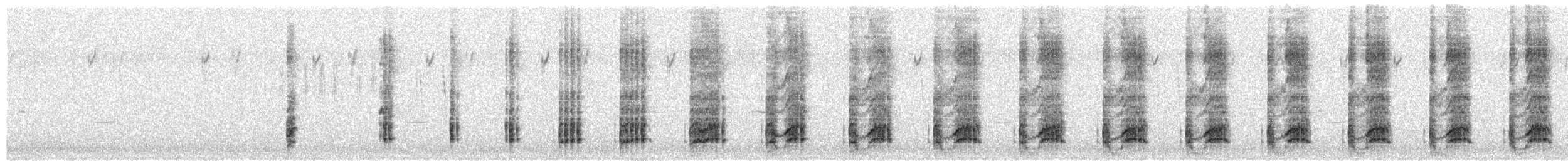 White-quilled Bustard - ML652758416