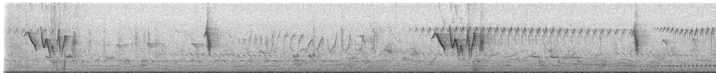 Indian Robin - ML652758983