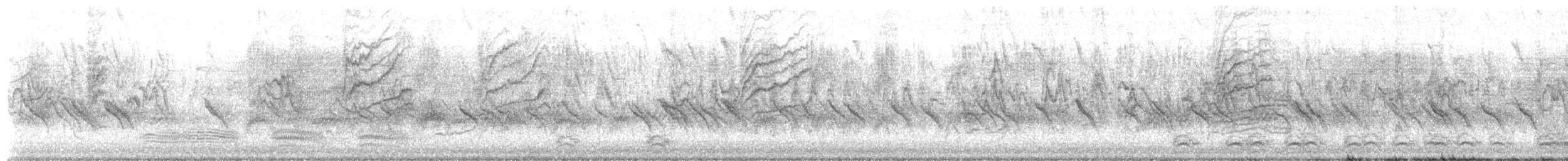 Pine Siskin - ML652762446