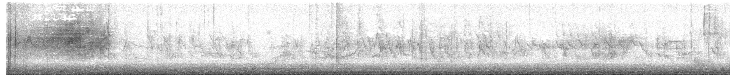 Pine Siskin - ML652764369