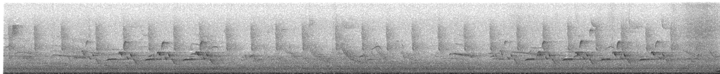 Barred Owl - ML652767781