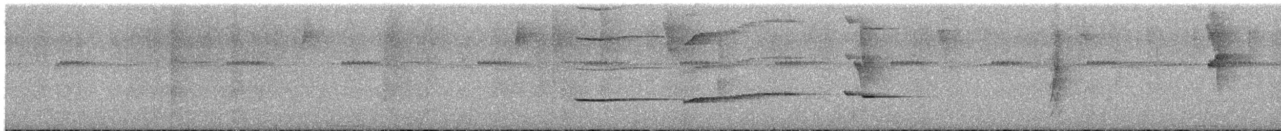 Northern Schiffornis - ML652777935