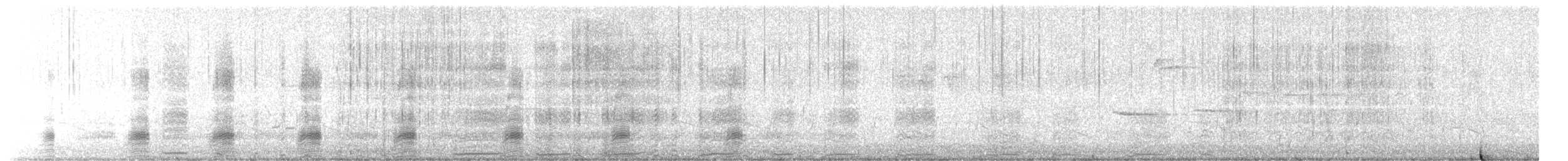 Bufflehead - ML652777945