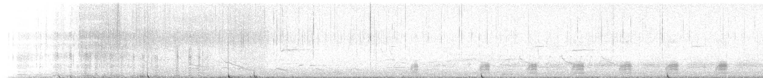 Bufflehead - ML652777947