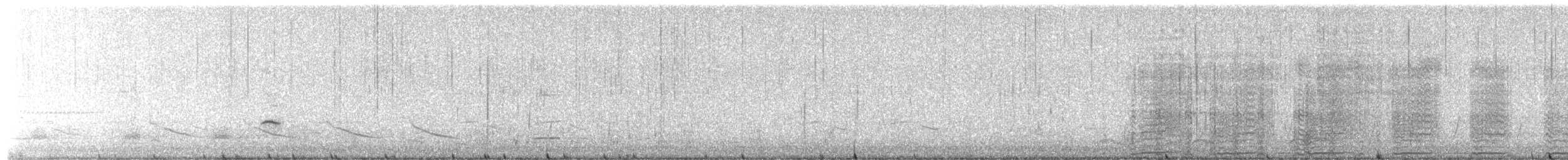 Bufflehead - ML652777948