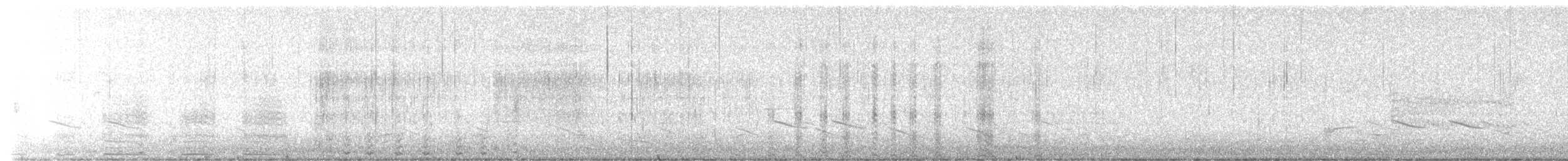 Bufflehead - ML652777949