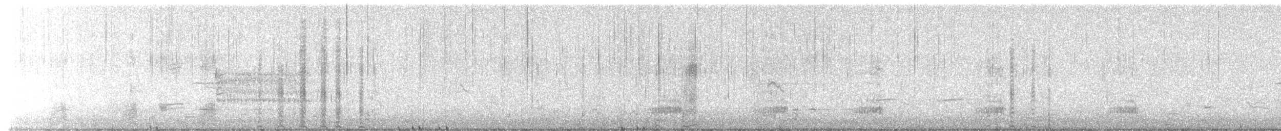 Bufflehead - ML652777951