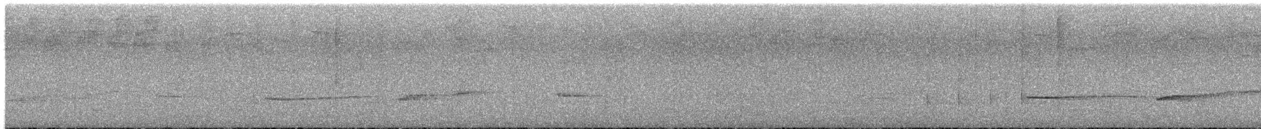 Northern Schiffornis - ML652778452