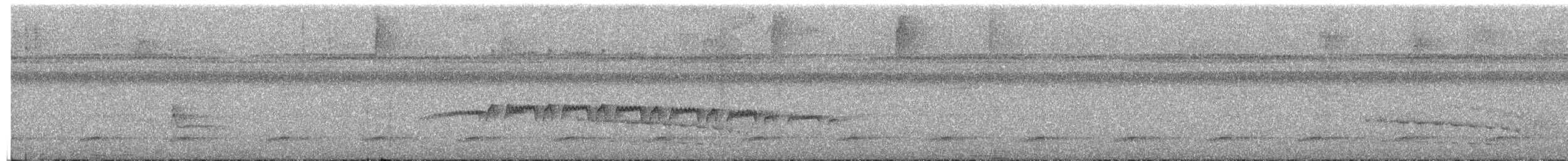 Spotted Antbird - ML652778521