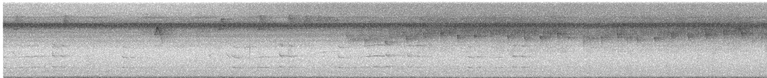 Double-banded Graytail - ML652778844