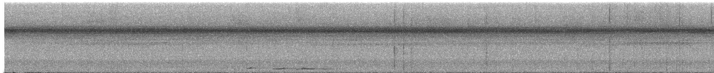 Plumbeous Pigeon - ML652778893