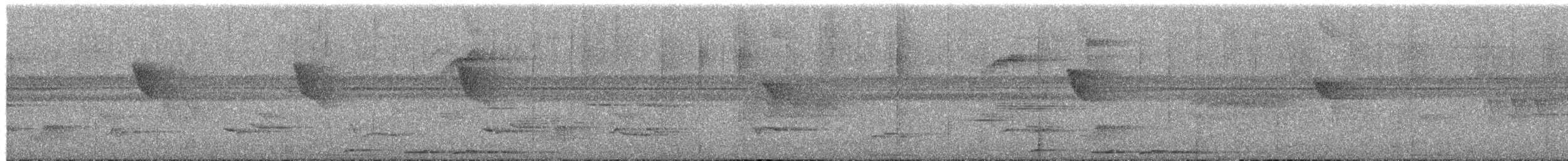 Plumbeous Pigeon - ML652778895