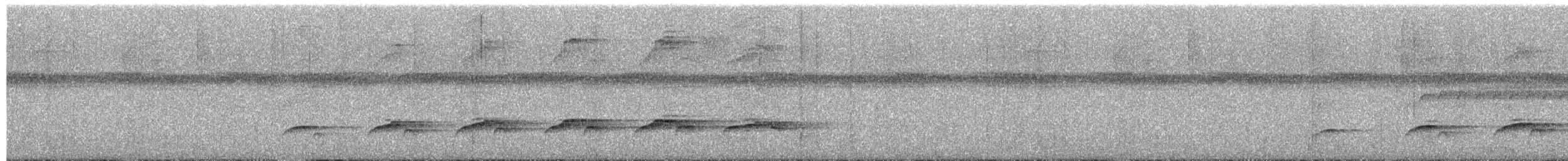 Bright-rumped Attila - ML652778910