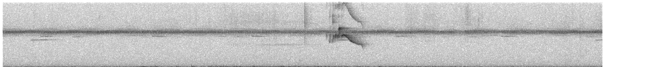 White-ruffed Manakin - ML652778933