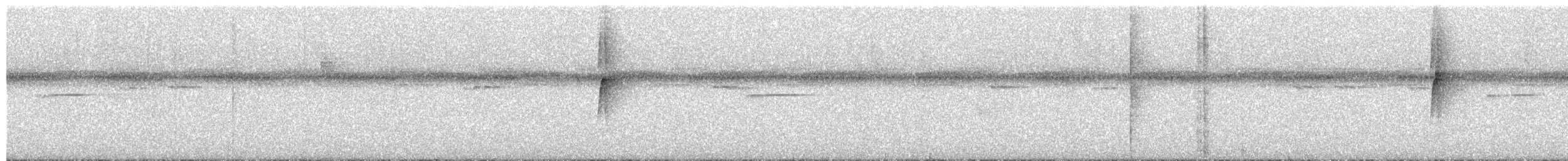 Northern Plain-Xenops - ML652778952