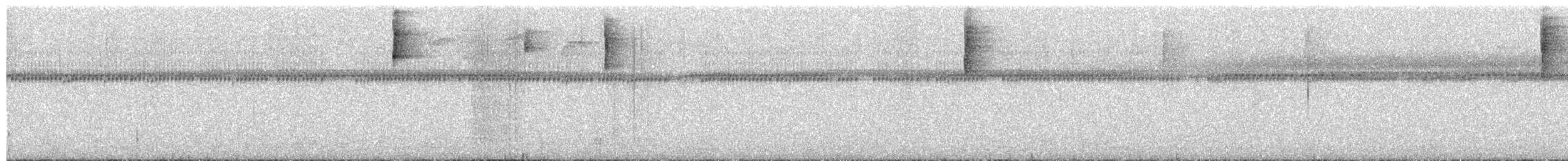 Pirre Chlorospingus - ML652778983