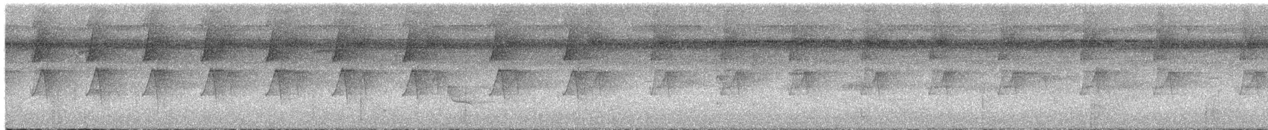 Long-billed Hermit - ML652779050