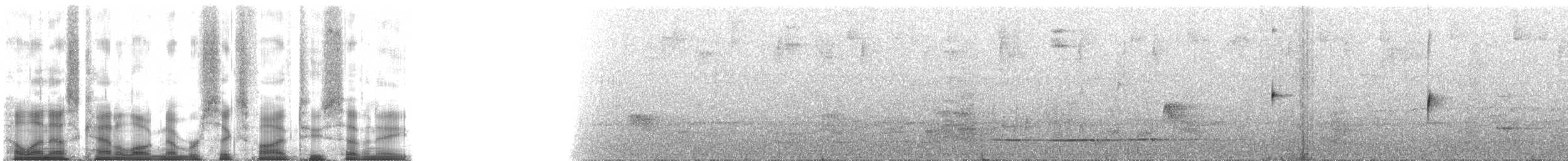 ルリノドインカハチドリ（violifer） - ML65278