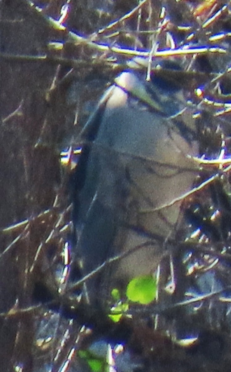 Ногоовор зашин - ML652793010