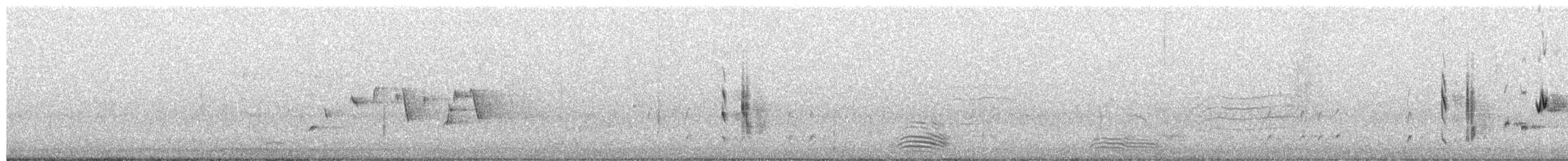 Чёрно-белая веерохвостка - ML652794953