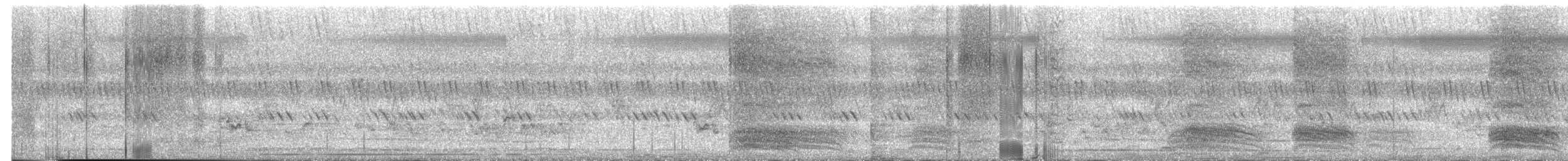 עורב הודי - ML652796520