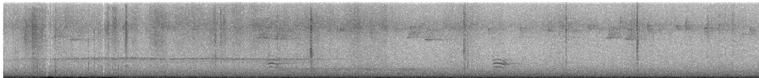 Каролинский поползень (carolinensis) - ML652796555