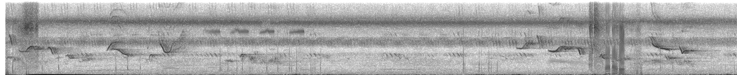 Oriental Magpie-Robin - ML652796776