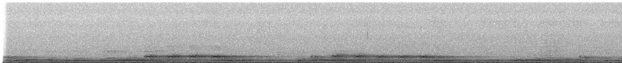 Barred Owl - ML652797410