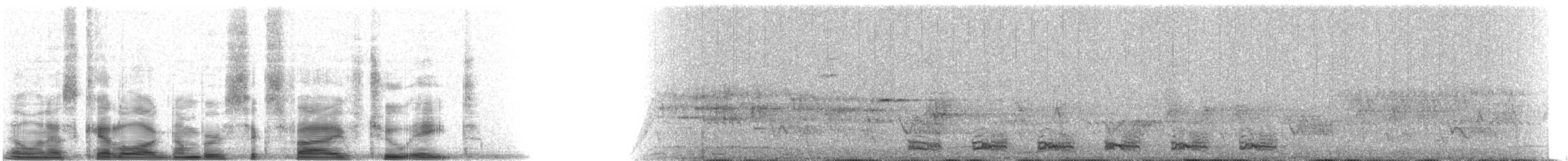 Coppery-tailed Trogon - ML6528