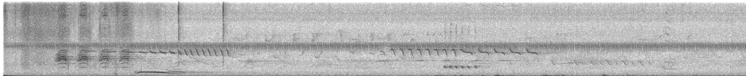 Barred Owl - ML652803778