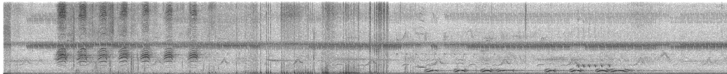 Barred Owl - ML652803909