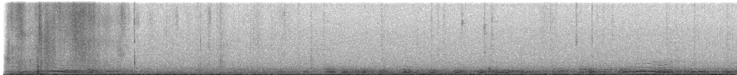 Barred Owl - ML652807407