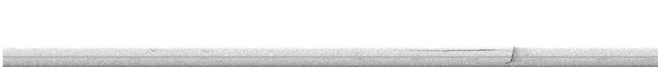 Белогорлая птица-бич - ML652809883