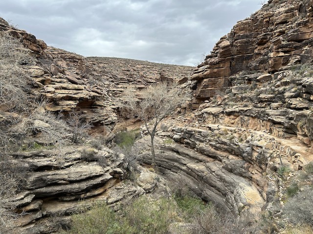 Grand Canyon NP--Havasupai Gardens, Coconino, Arizona, United