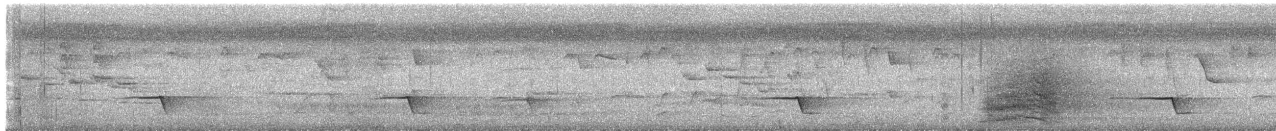 Ожерелковый свистун - ML652812004