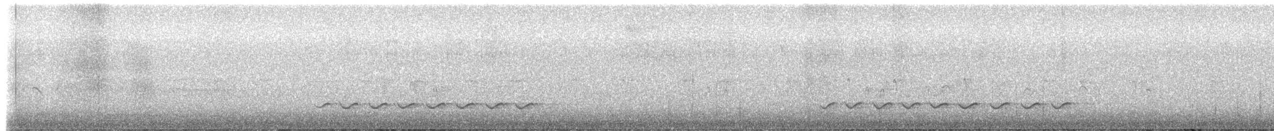 Каролинский поползень (aculeata/alexandrae) - ML652812418