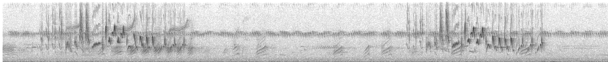 Northern House Wren - ML652813568