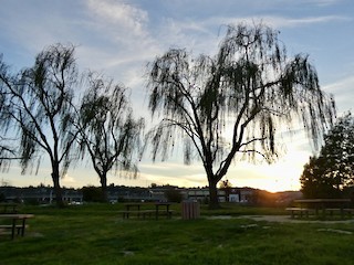 Belmont Slough--slough along Oracle Pkwy and area behind Oracle, San ...