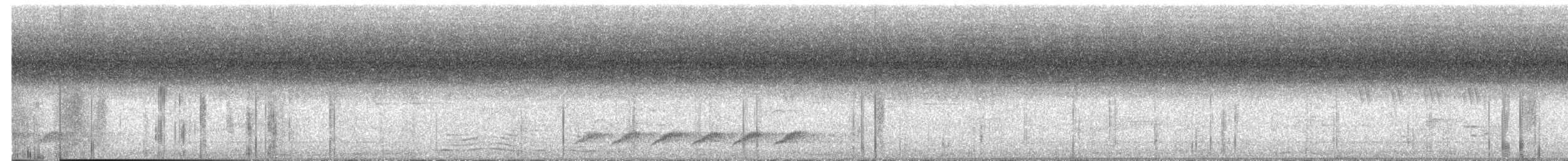 Greater Racket-tailed Drongo - ML652818014