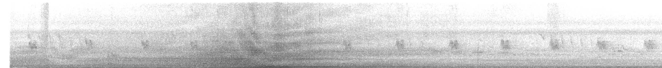 דרור הבית - ML652818840