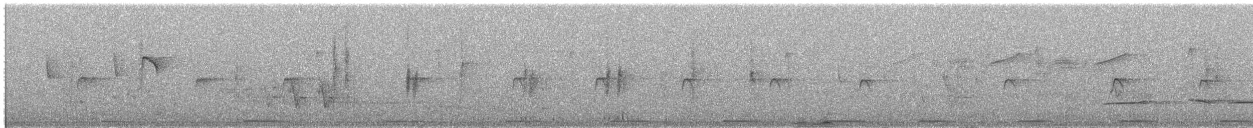 Whyte's Barbet - ML652821471