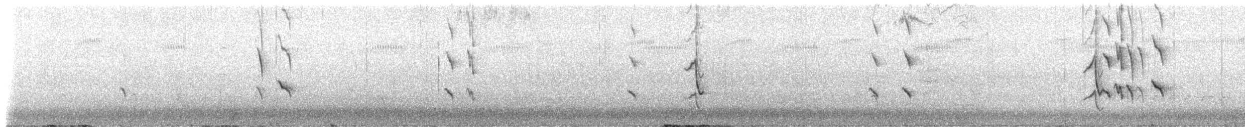 Белощёкий медолюб - ML652822291