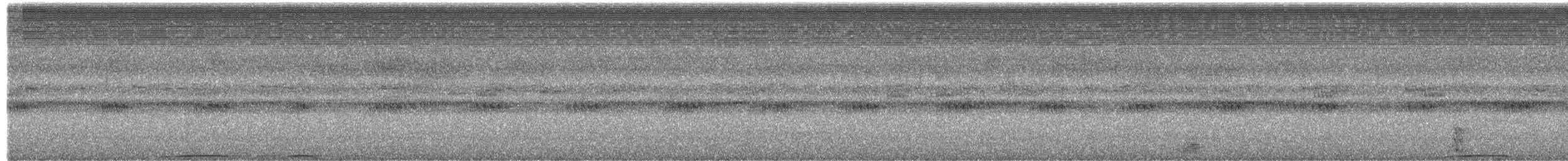 Гигантская иглоногая сова - ML652823153