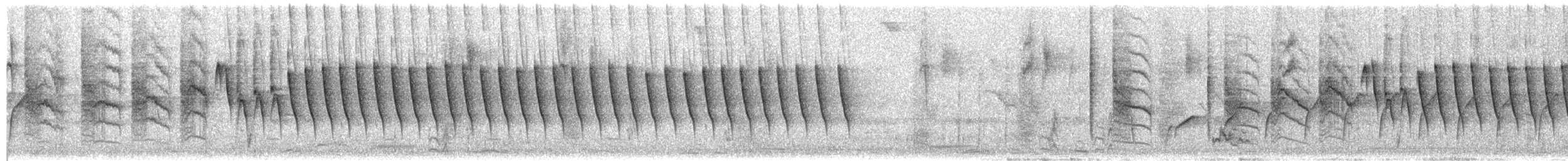Variable Sunbird - ML652824438