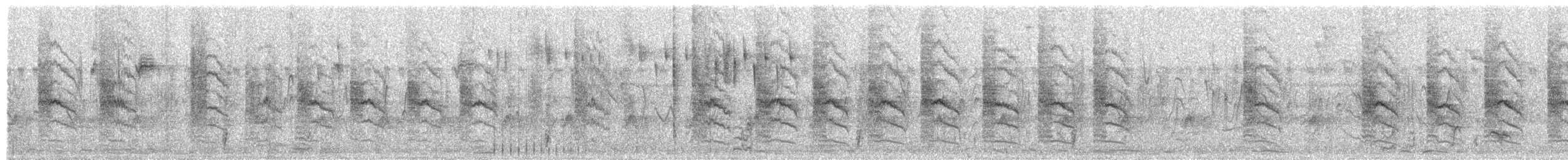 Variable Sunbird - ML652824439