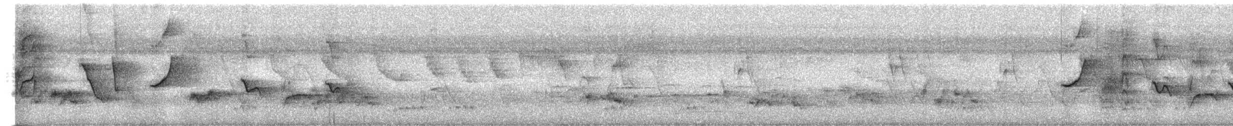 Oriental Magpie-Robin - ML652824577