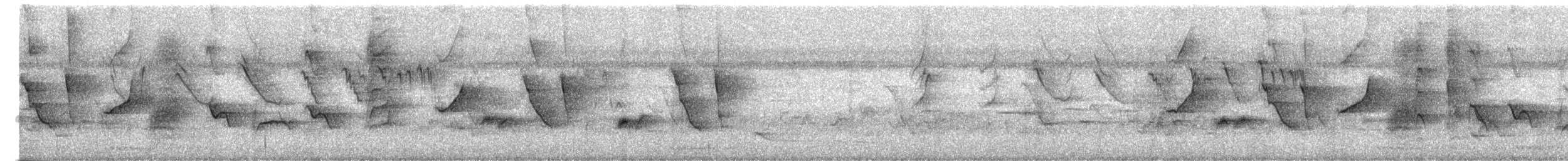 Oriental Magpie-Robin - ML652824580