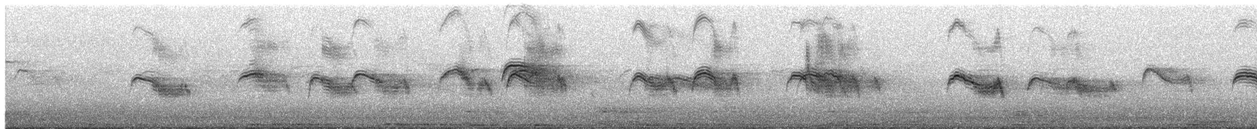 Pallid Swift - ML652824630