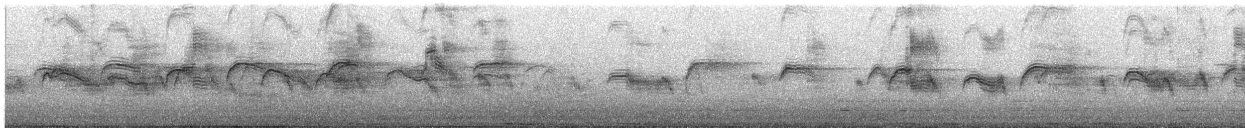 Pallid Swift - ML652824631